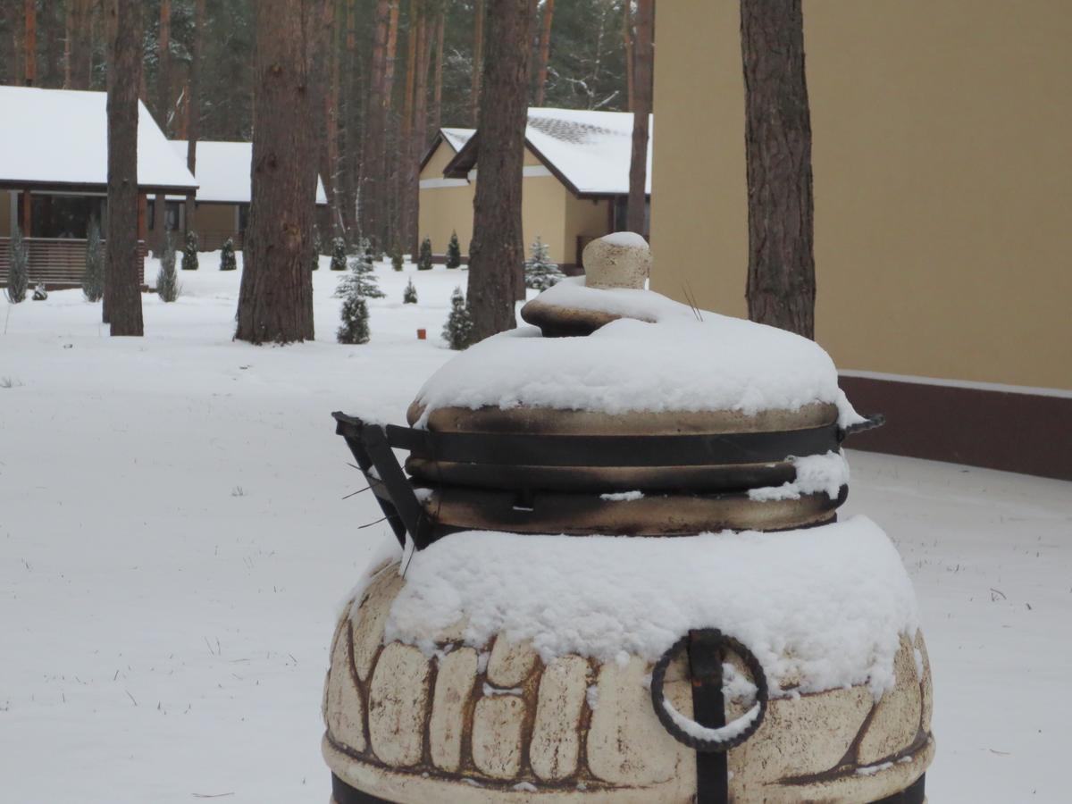 Park-Hotel Tihiy Les Prohorivka Kültér fotó